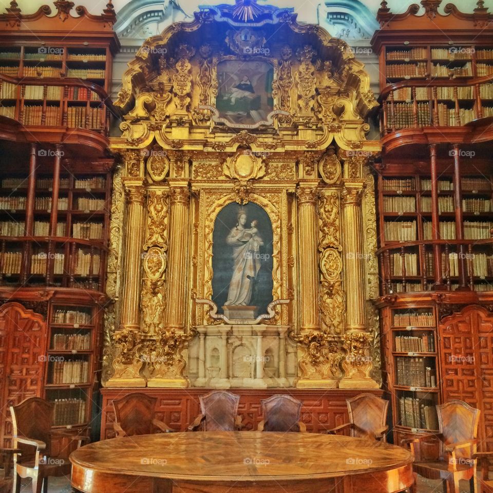 Puebla Library Judgment