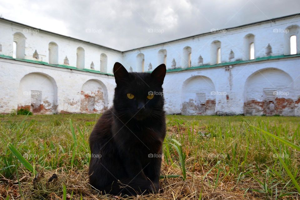 black concentrated con against the background of the fortress wall of the city