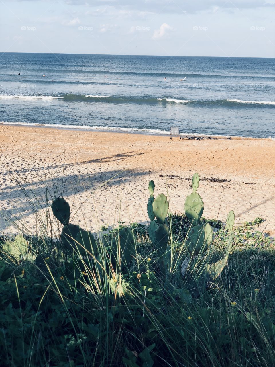 Flagler beach