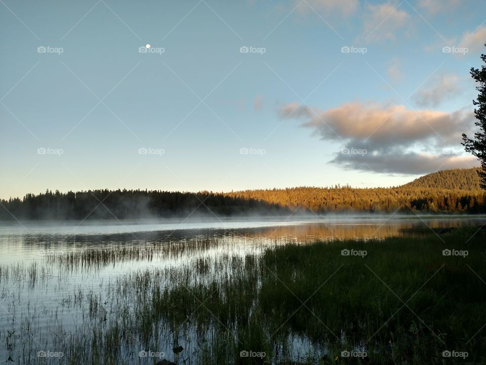 Morning Fog on Lake