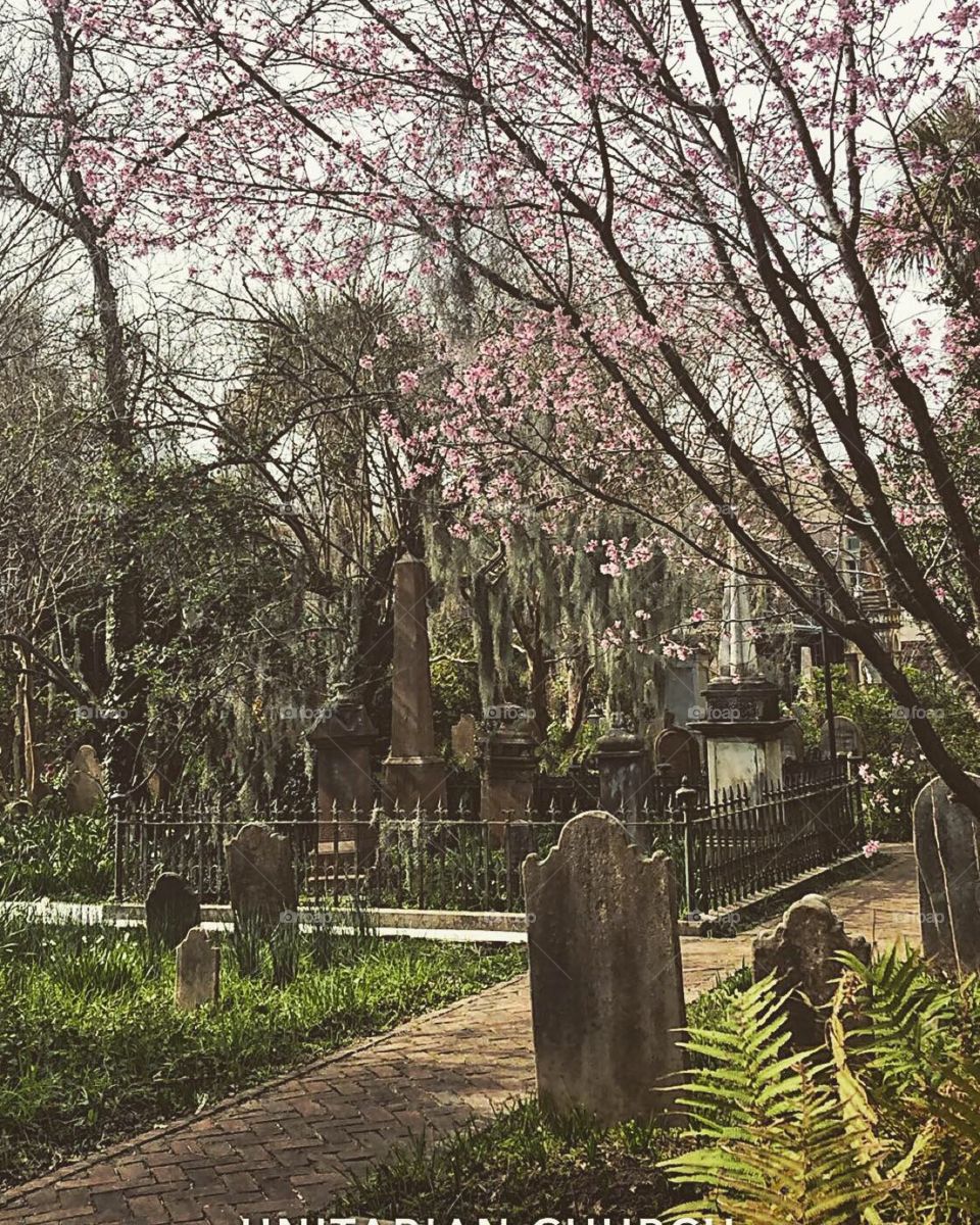 Graveyard in historic district, Charleston, SC