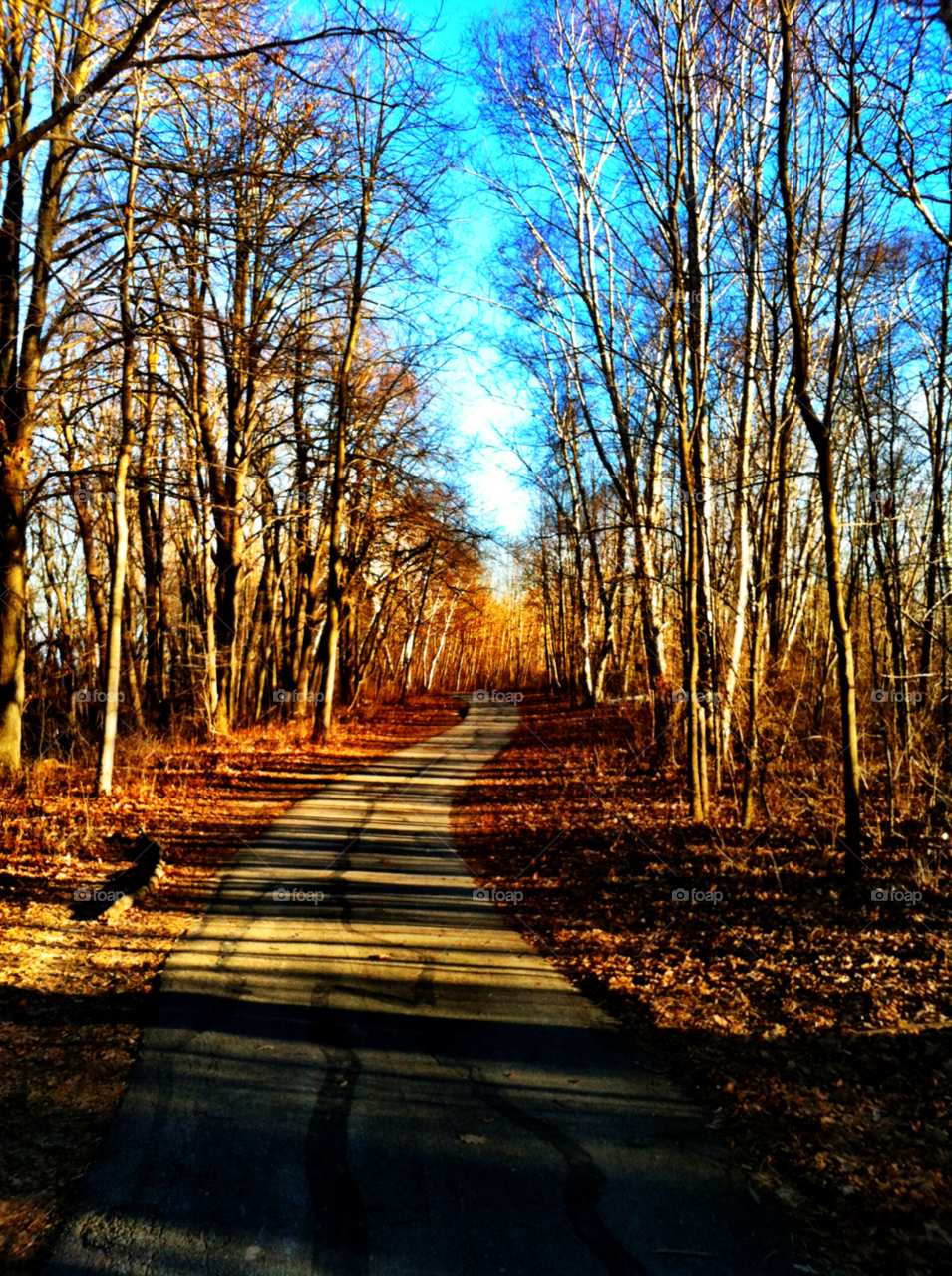cudahy wi winter shadows bike path by doug414