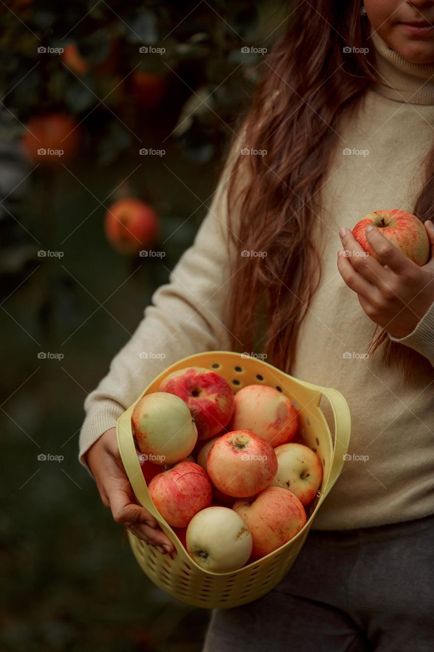 Long-haired girl with basket of apples