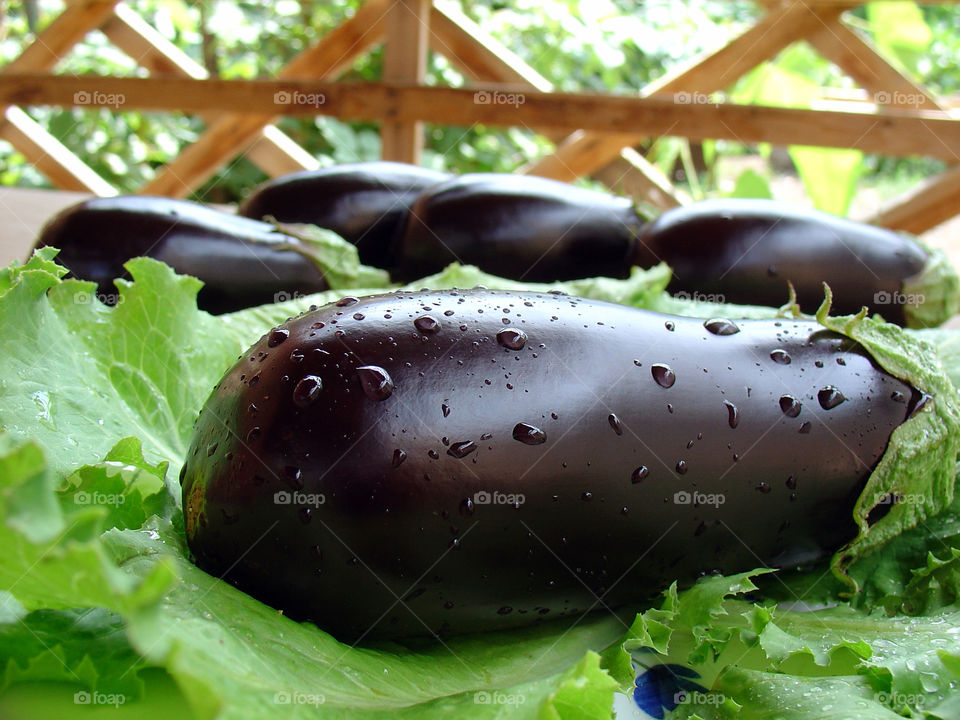 Fresh eggplants