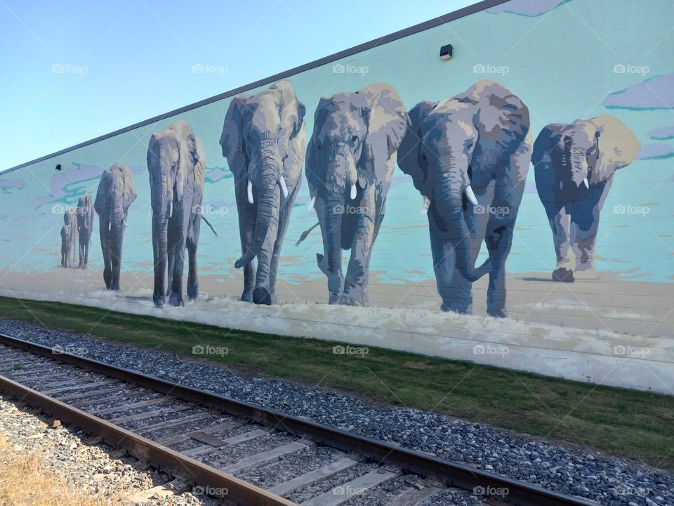 Grand Rapids, Michigan is home to the annual Art Prize competition.