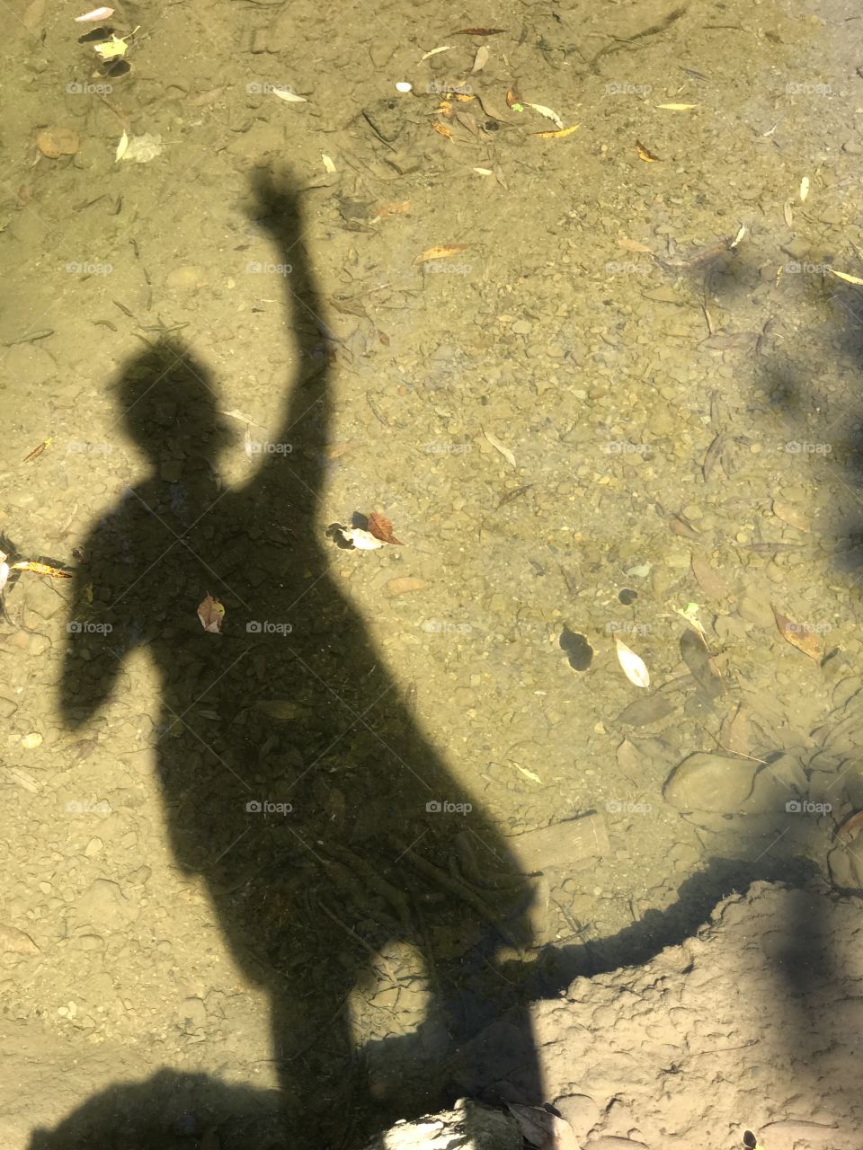 Autumn rain reflections 