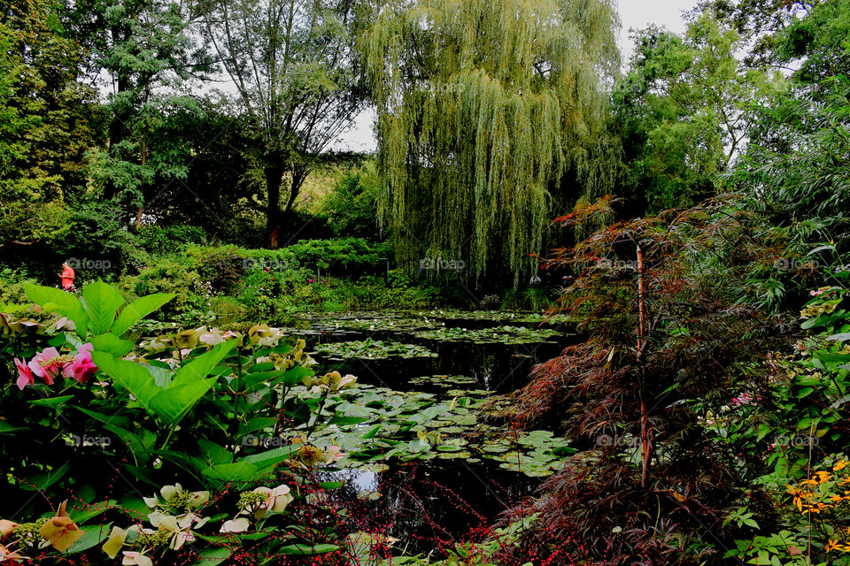 Urban garden in France 