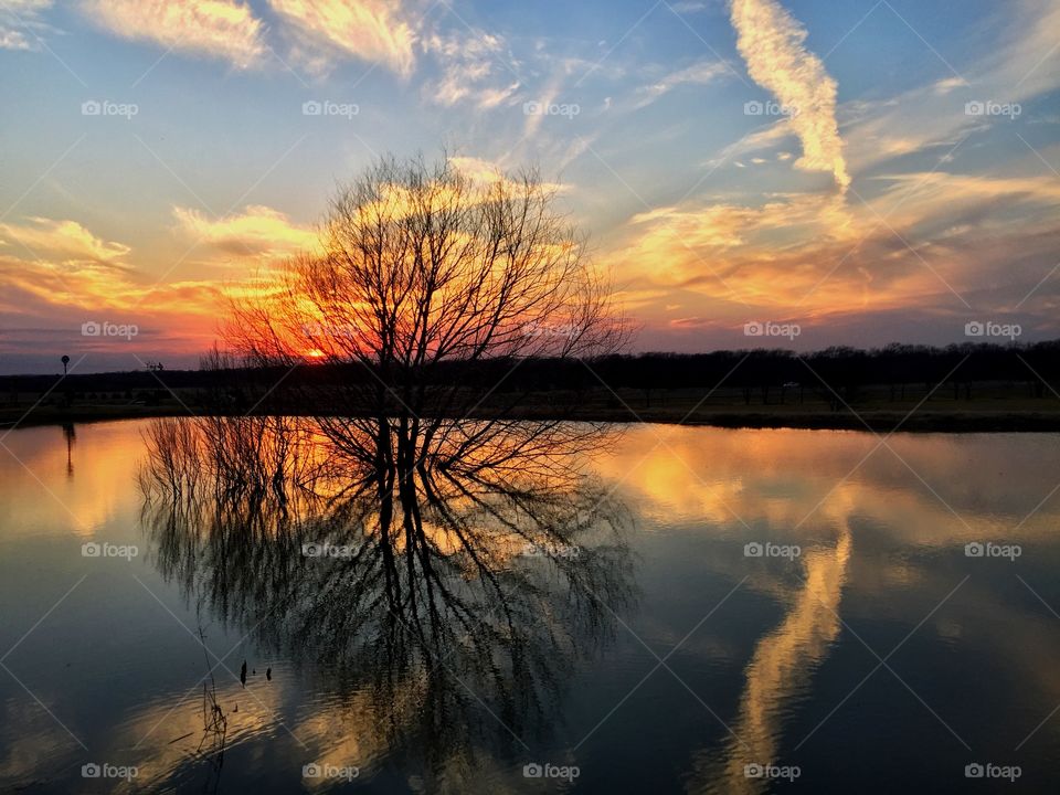 Great reflections 