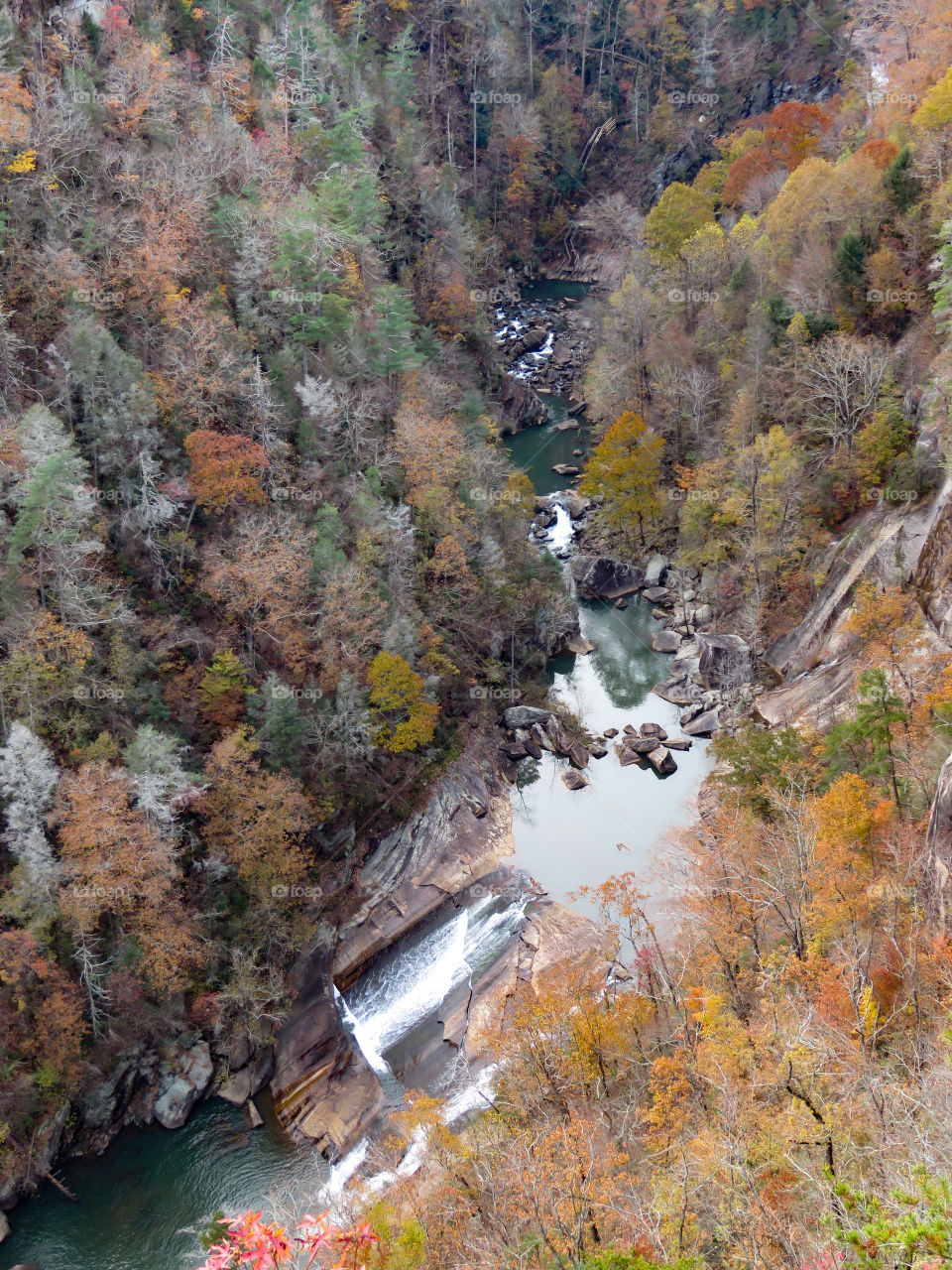 Looking down into Tallulah Gorge