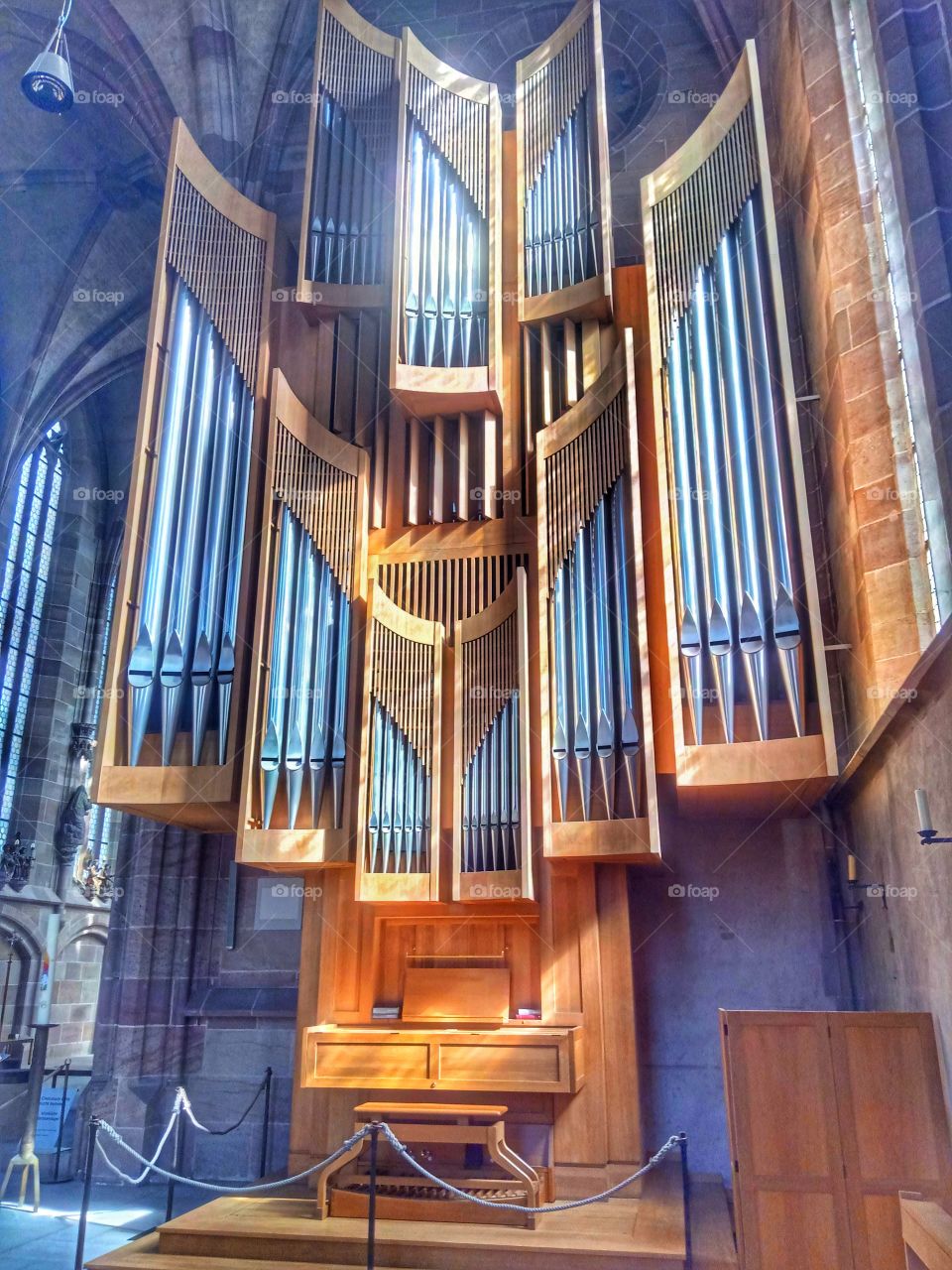 Organ