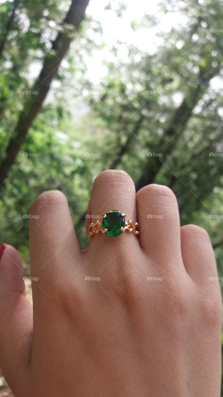 Green is the prime color of the world, and that from which its loveliness arises.