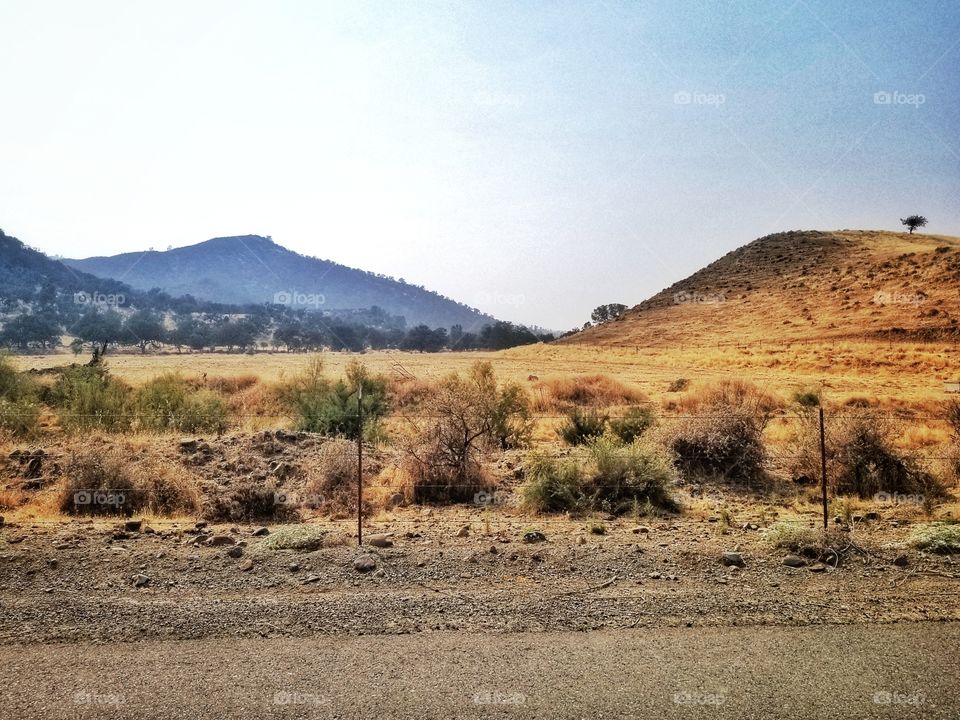 Blue and Yellow Make