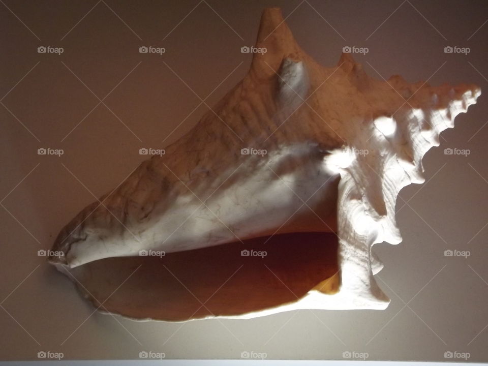 From the depths of the ocean