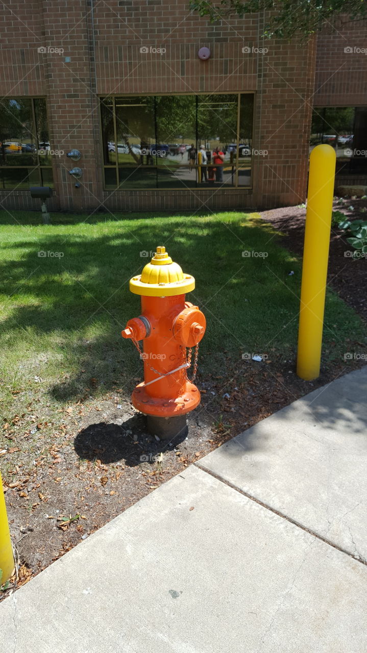 fire hydrant