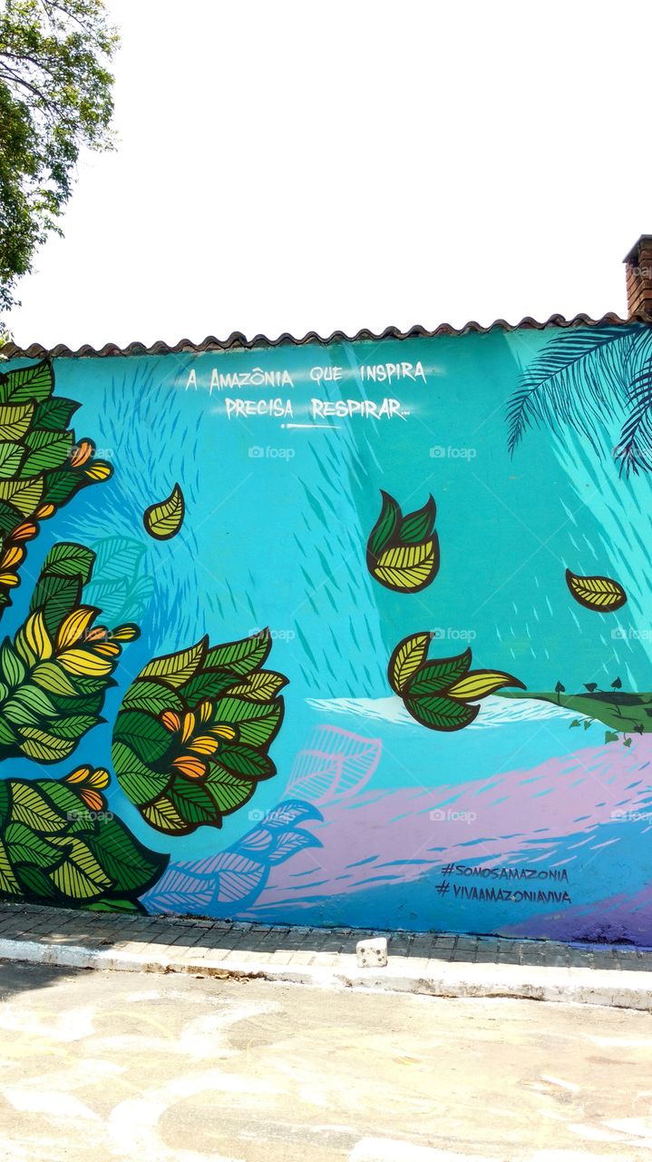 #Amazonia #paint