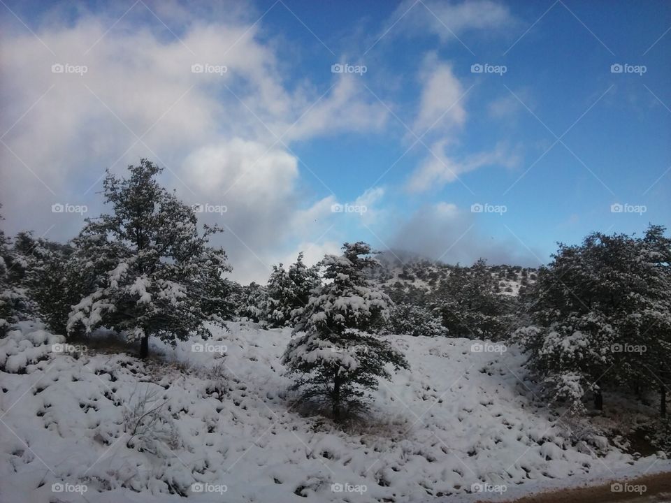 Winter Snow Heredford Coshise County Arizona USA Earth
