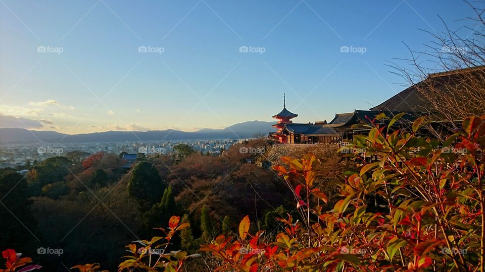 View of Japanese temple at Golden Hour