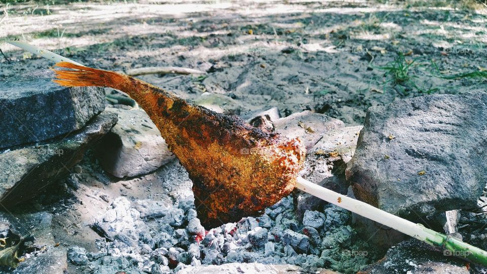 grilled sea bass on charcoal