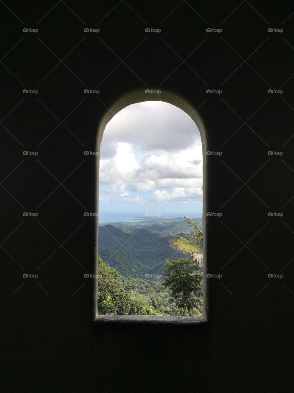 Window to the world 
