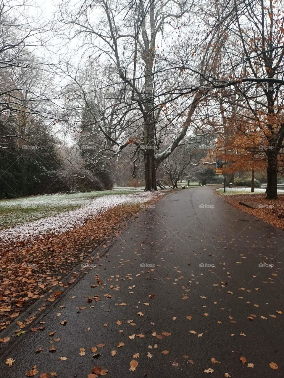 Parc de Mariemont la Louvière