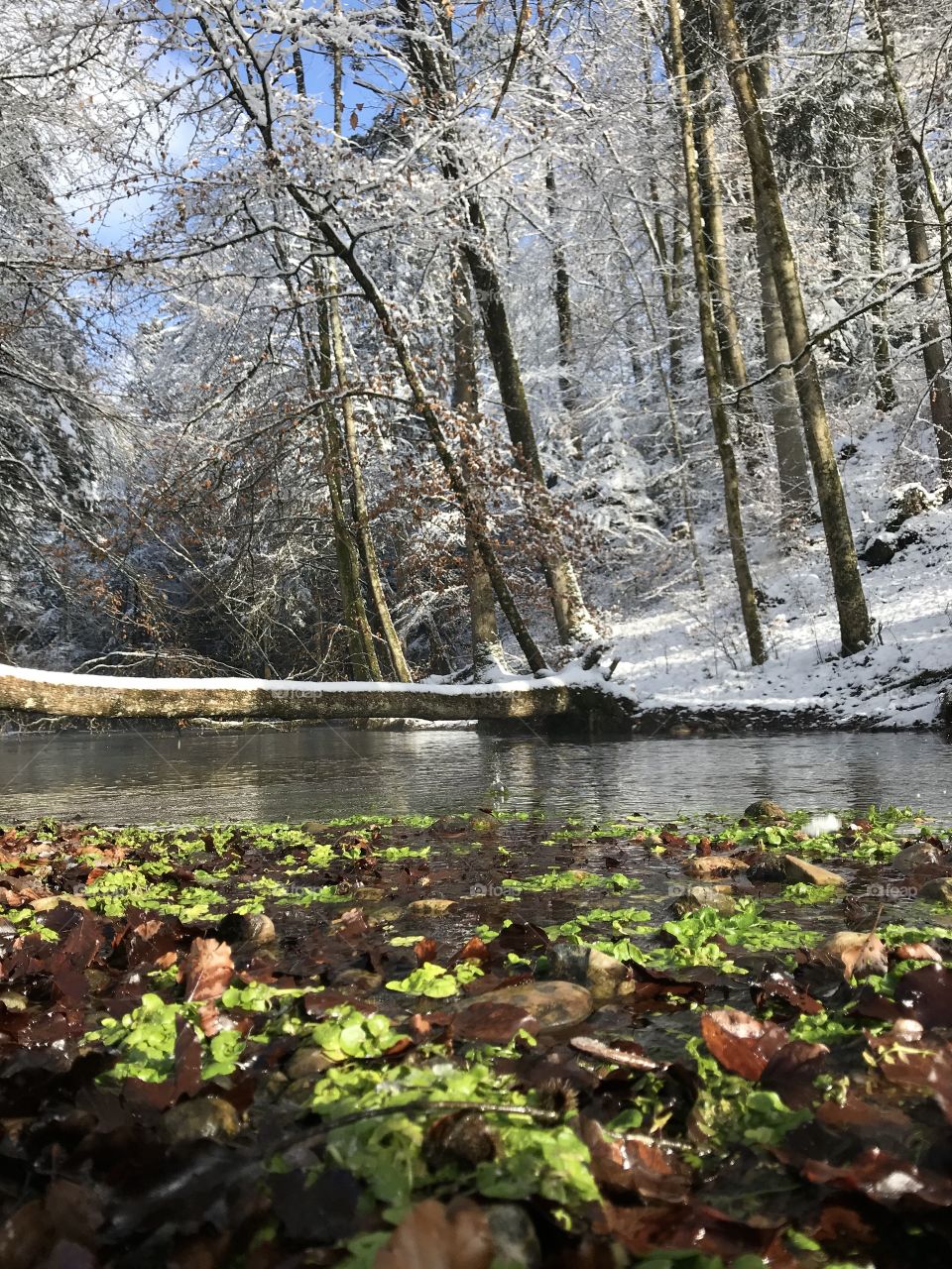 Steibachweiher 