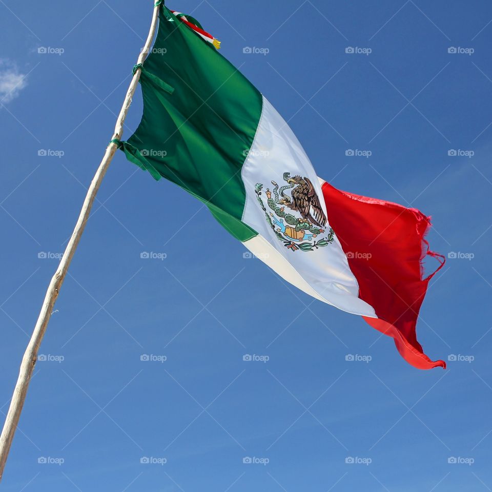 Flag Mexico City 