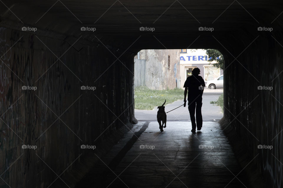 A man and a dog entering tunnel on the way home