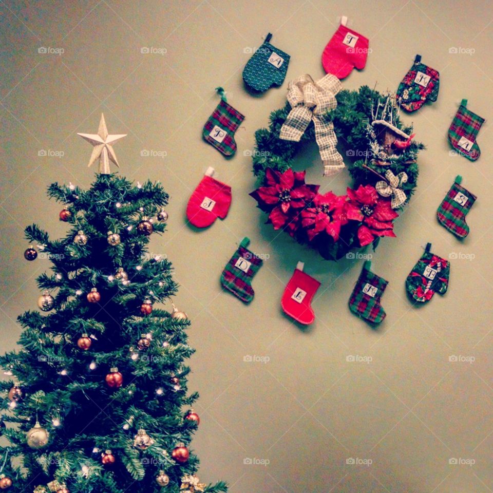 Christmas, Winter, No Person, Tree, Christmas Tree