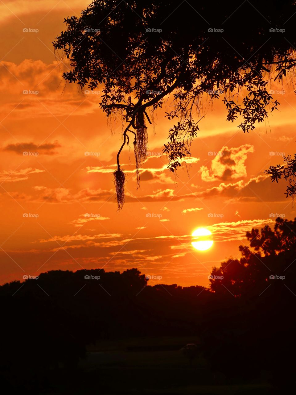 
The big orange ball slowly going down and down and it sets into the horizon making the  sky absolutely stunning.