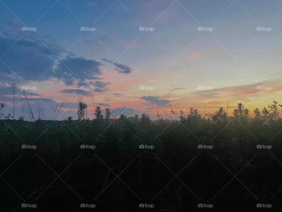 Southern sunset