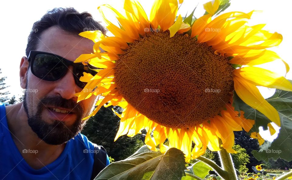 sunflower selfie