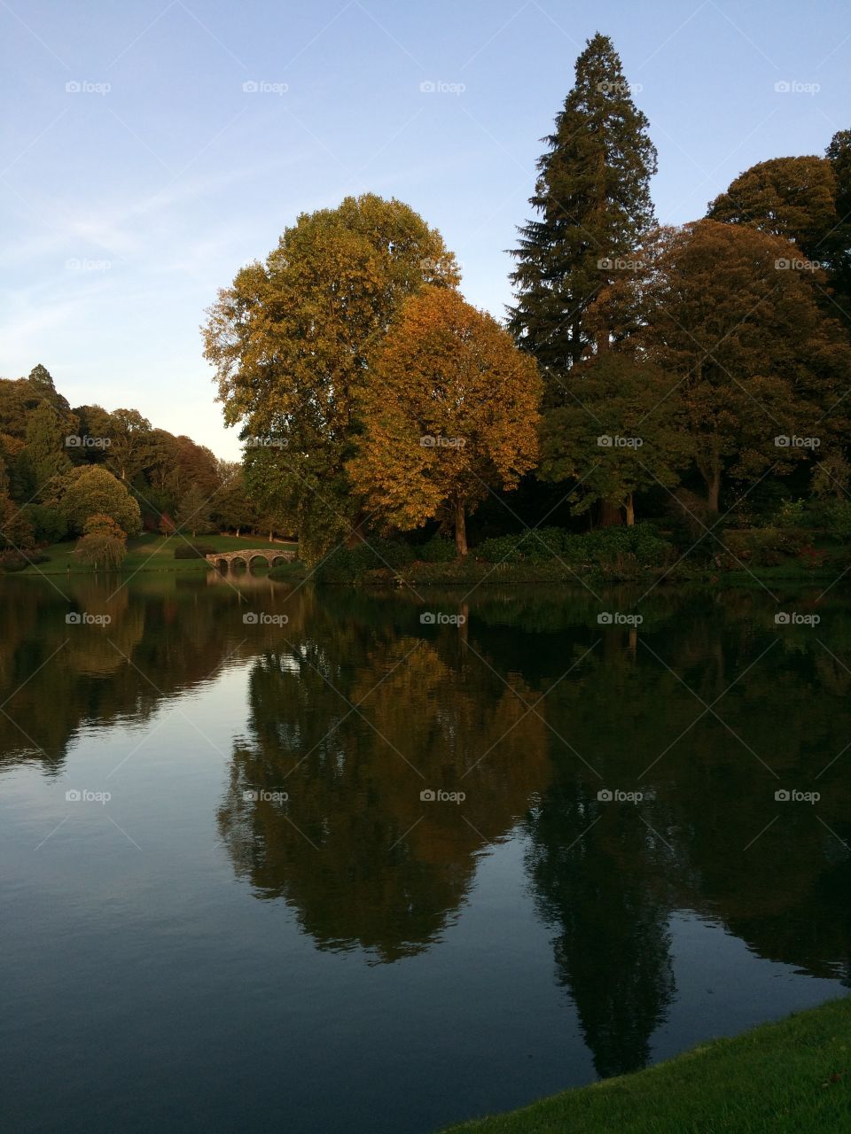 Reflection of autumnal trees