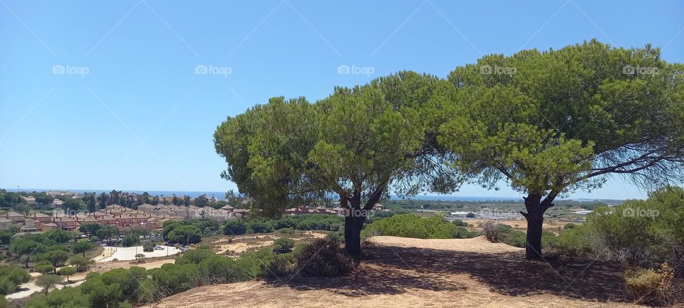 Vistas desde el mirador