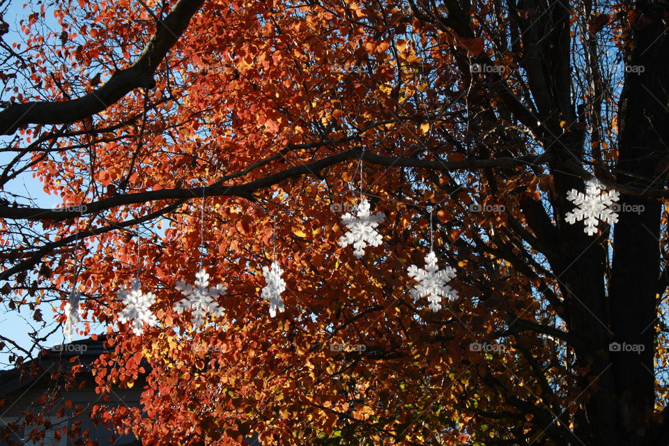 Snowflake tree decoration 