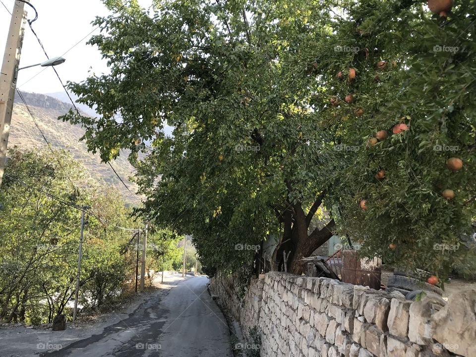 A beautiful vilage in Paveh,Kermanshah,Iran.