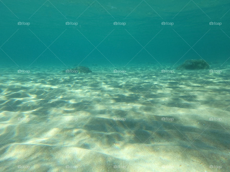 underwater. photo of shallow sea below the surface