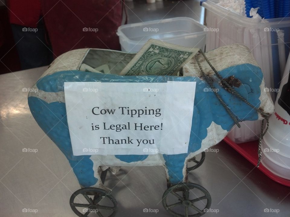 Cow Tipping