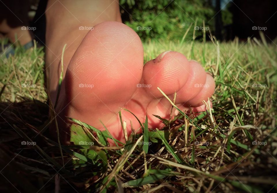 My Big foot in the Garden