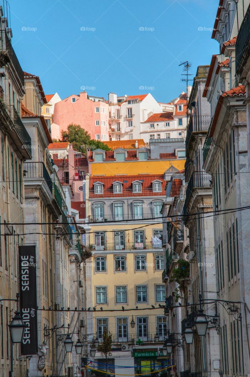 Streets of lisbon 