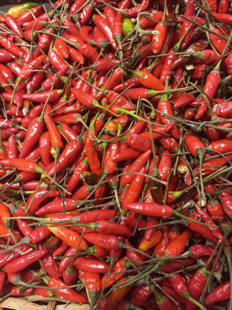 Pimenta dedo de moça  ou pimenta aji. Pimenta  de ardor baixo a médio, com pungência, que pode variar de 15.000 a 90.000 unidades na escala Scoville.  É muito versátil e, pode ser usada em várias receitas