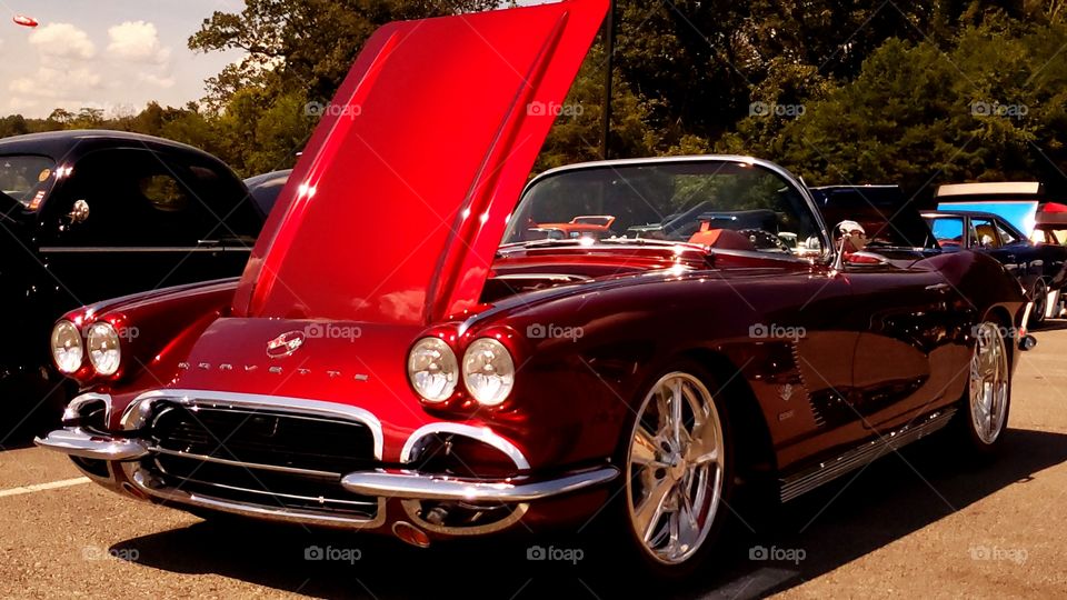VETTE