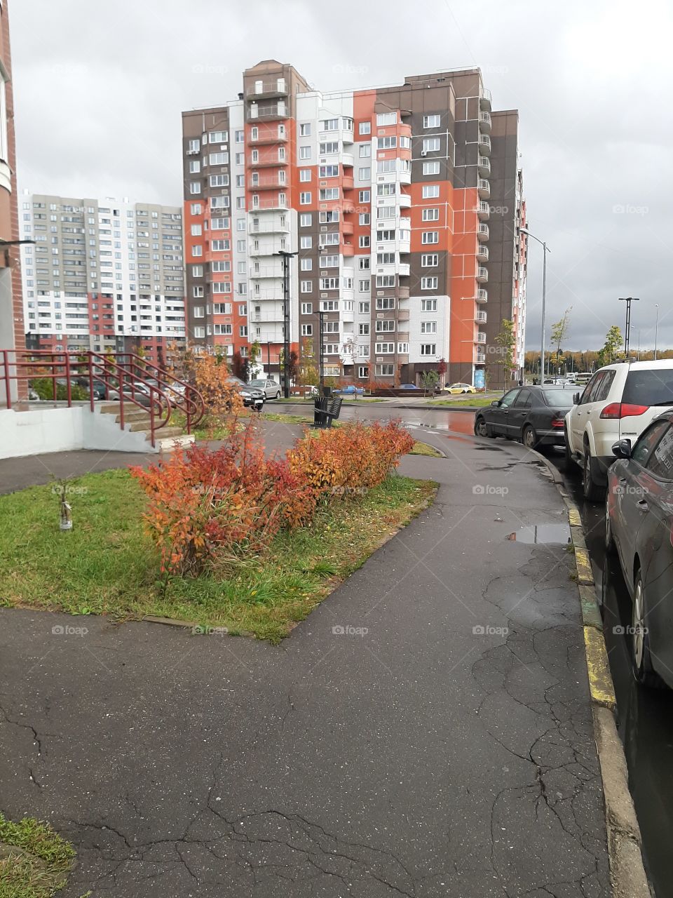 Осень   в   городе