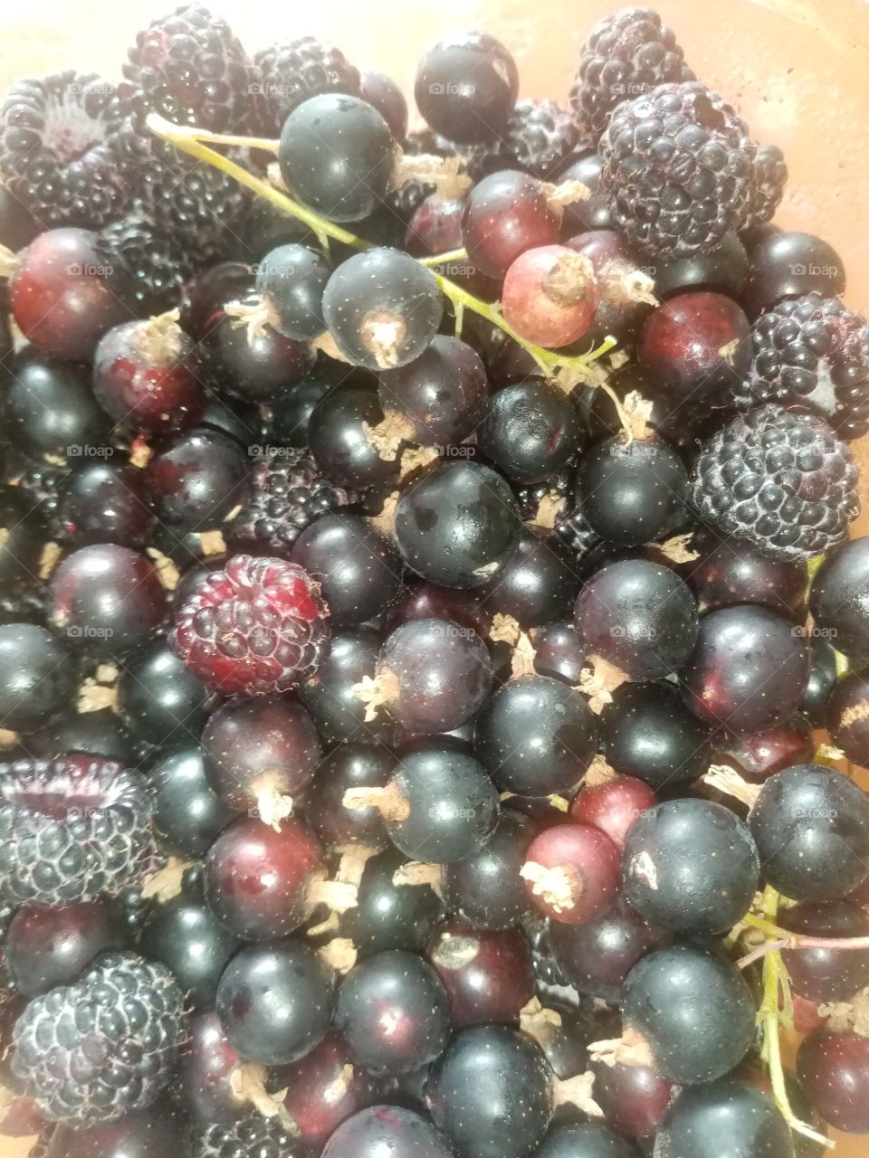 Summer fruits