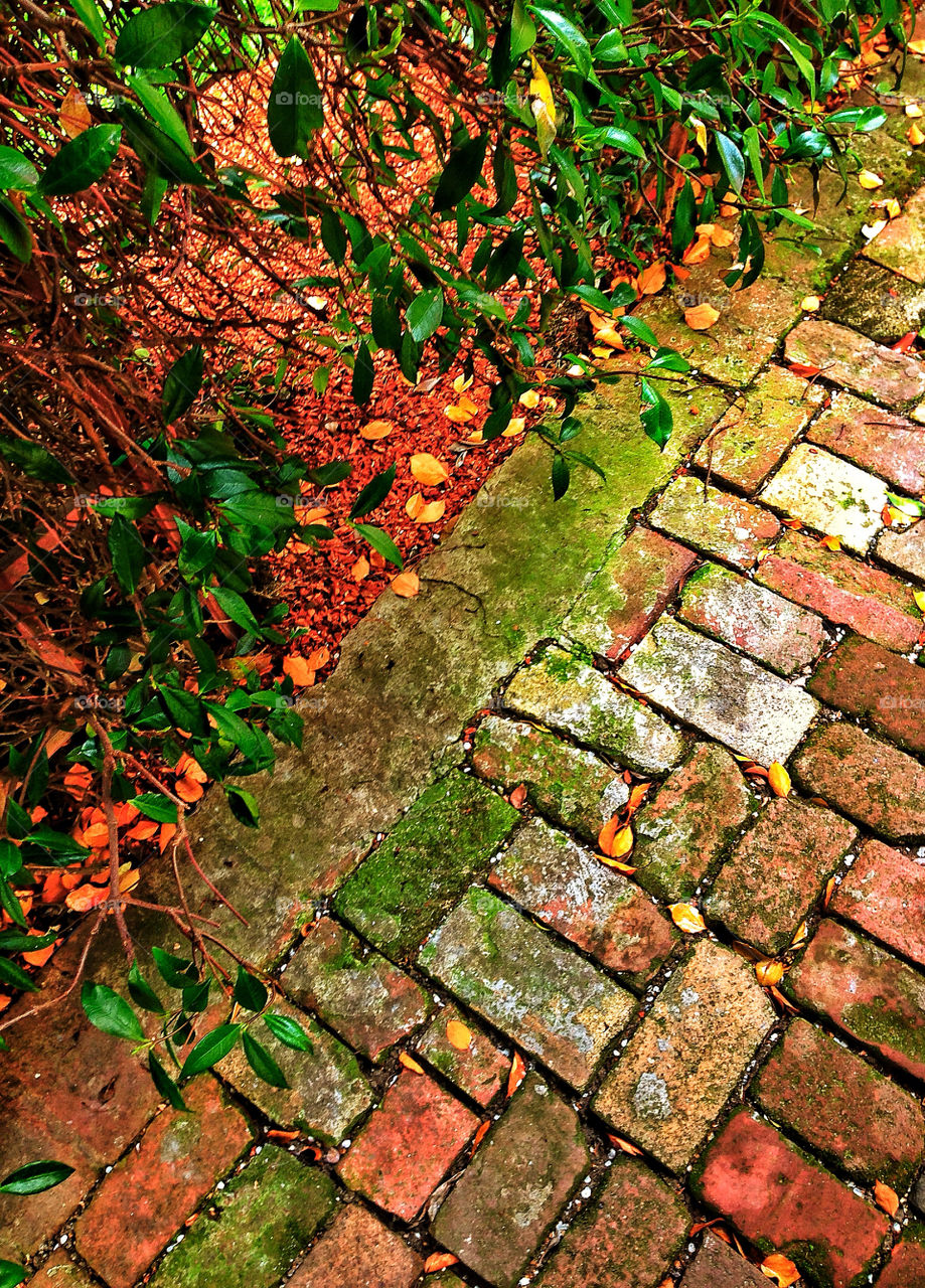 Rustic antique red brick garden path