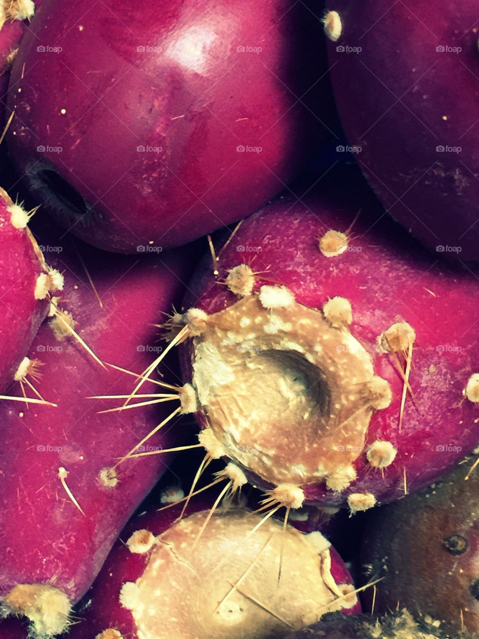 Prickly pear . Deep red prickly pear fruit