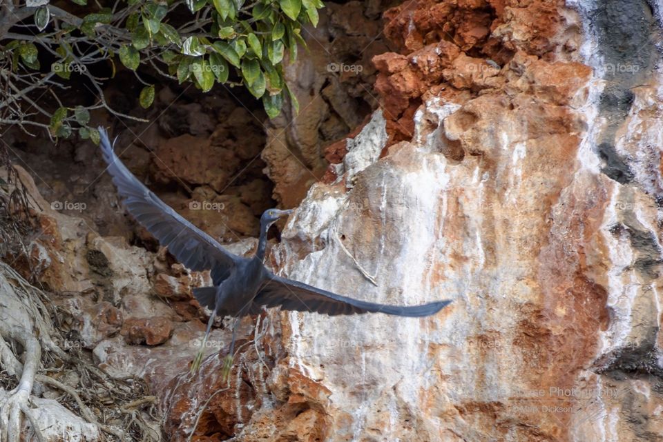 No Person, Nature, Rock, Wood, Stone