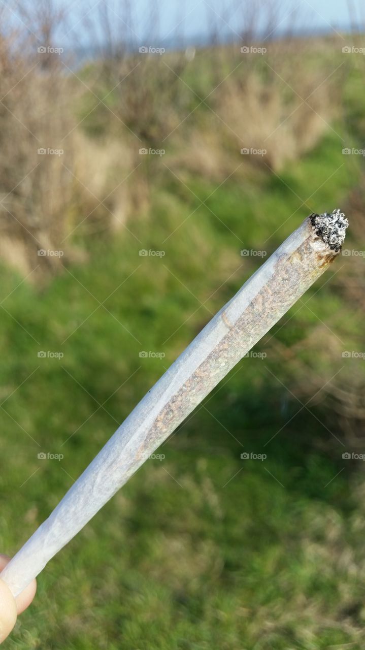 joint