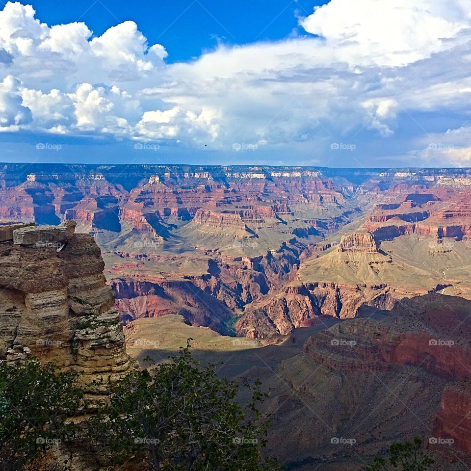 Glorious. Grand Canyon 