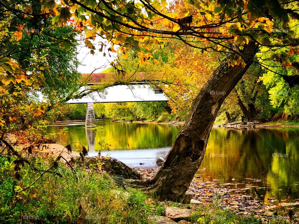 Fall and the covered bridge in Indiana 
