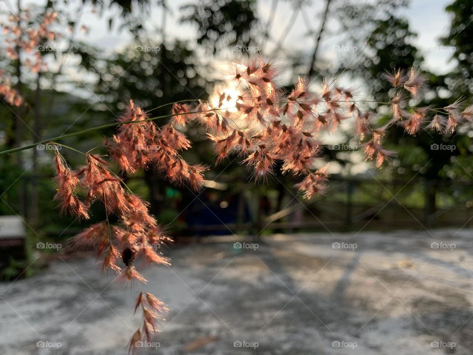 beautiful view at sunset